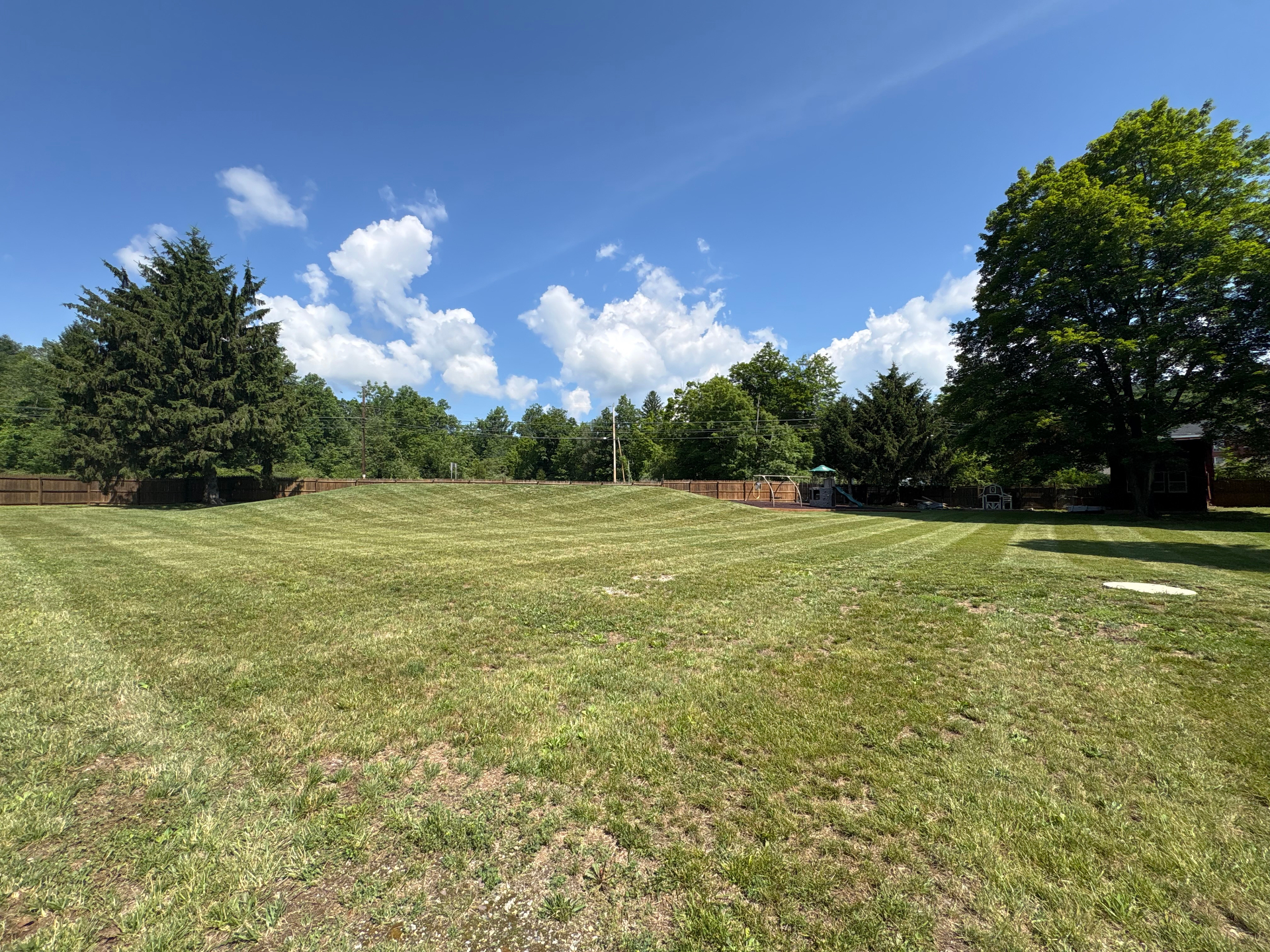 Fresh Mowing Stripes