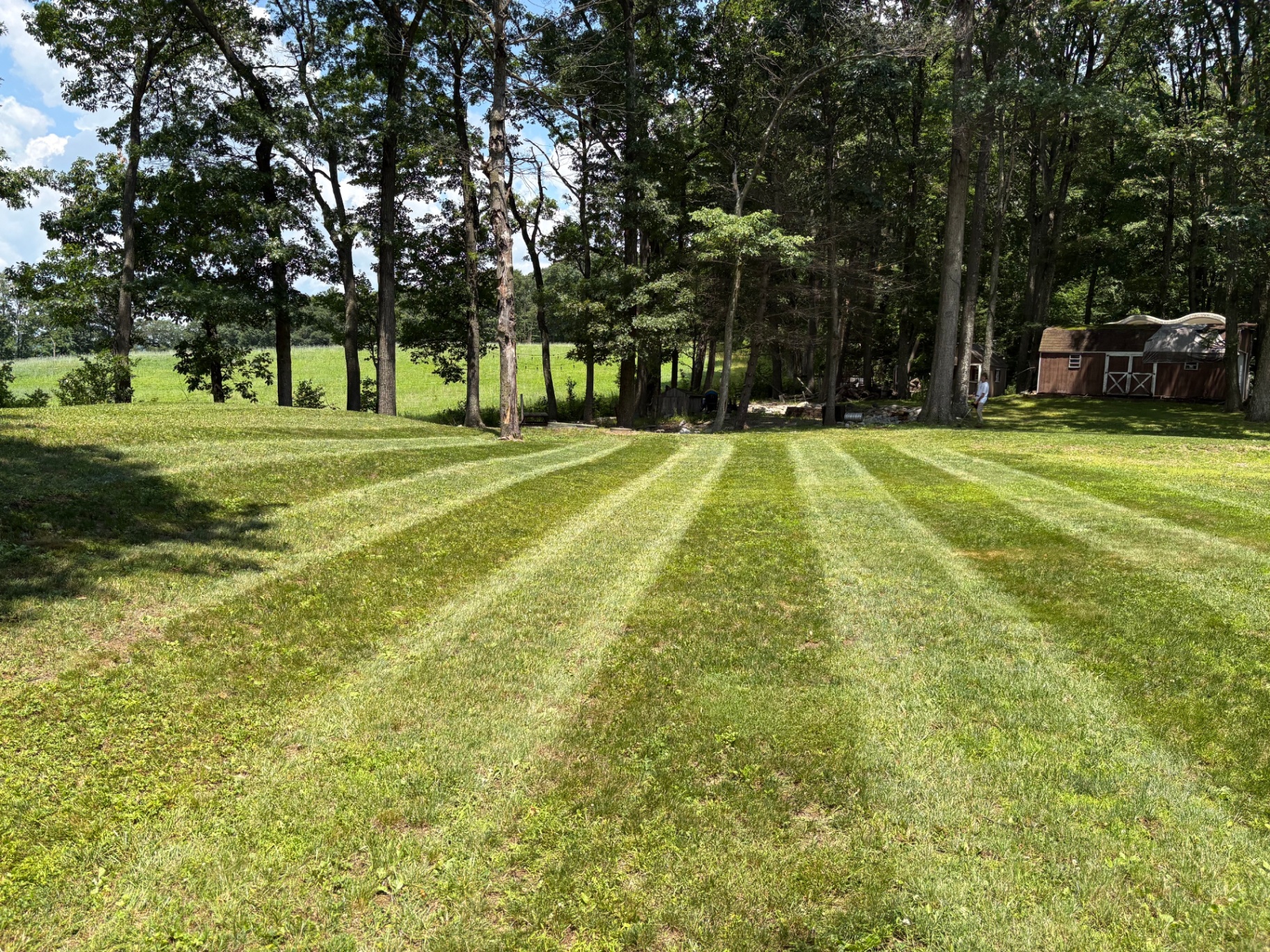 Field-edge lawn with fresh mowing stripes
