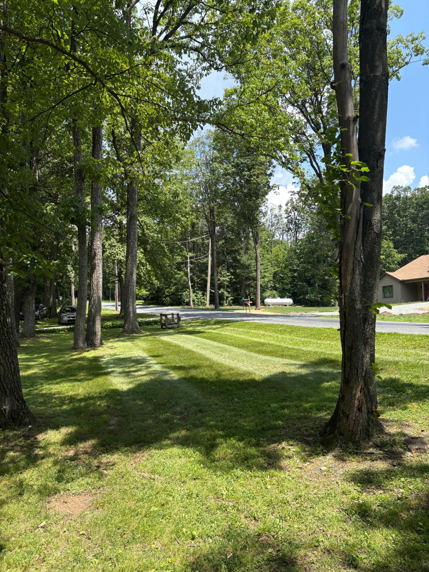 Shaded front lawn mow with fresh stripes
