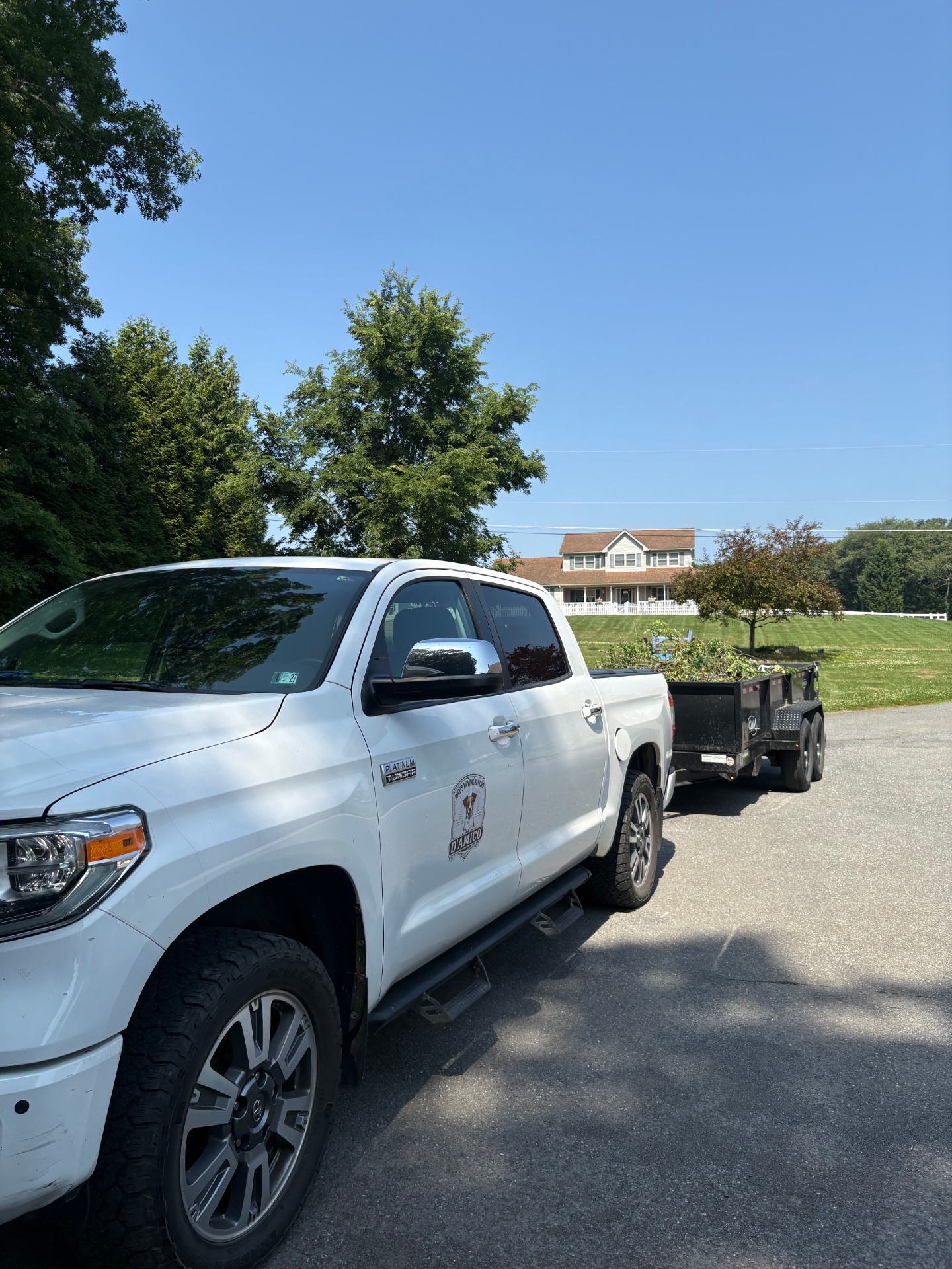 Mico's Mowing work