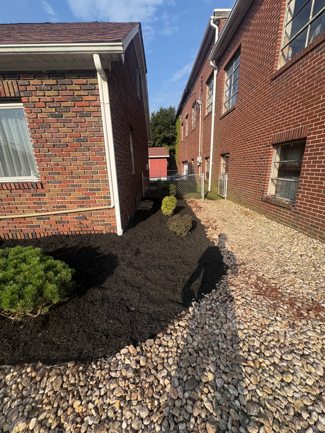 Side-yard mulch refresh & bed cleanup